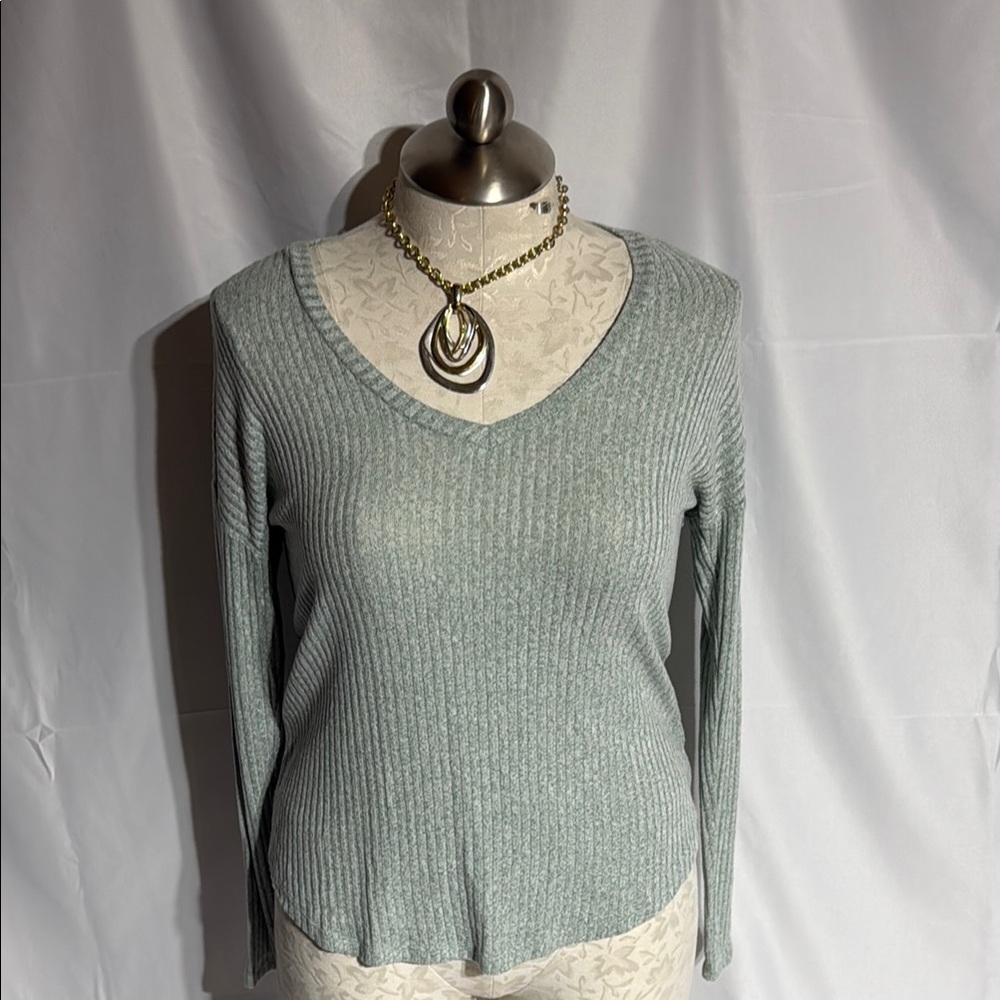 American Eagle outfitters v-neck soft & sexy long sleeve rib top size large.